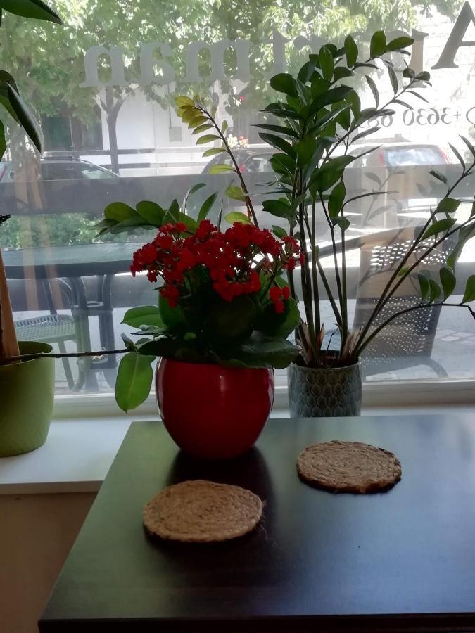 Cehmesterek Apartman エゲル エクステリア 写真