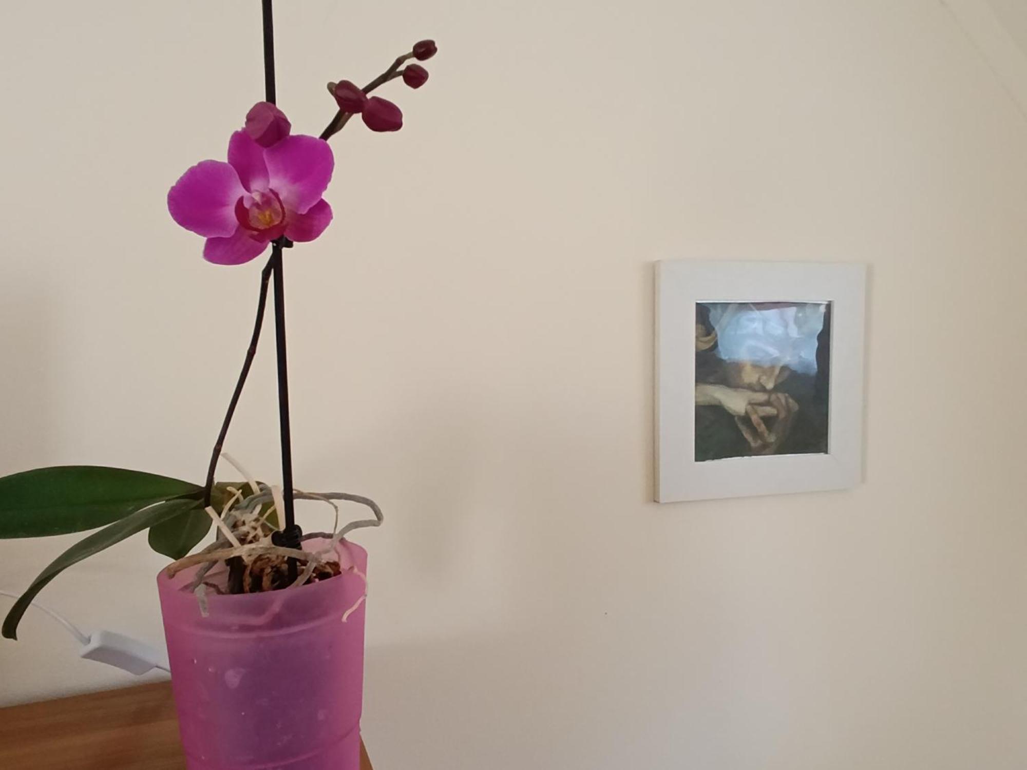 Cehmesterek Apartman エゲル エクステリア 写真